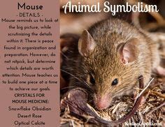 Mouse Cuisine in Witchcraft: Recipes and Rituals